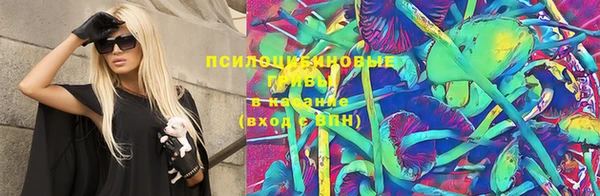 тгк Алзамай